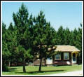 Vacation Cottage and Home rentals in Traverse City.